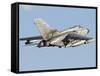 An Italian Air Force Panavia Tornado ECR-Stocktrek Images-Framed Stretched Canvas