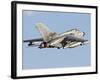 An Italian Air Force Panavia Tornado ECR-Stocktrek Images-Framed Photographic Print