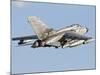 An Italian Air Force Panavia Tornado ECR-Stocktrek Images-Mounted Photographic Print