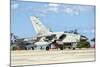 An Italian Air Force Tornado Ecr at Trapani Air Base, Italy-Stocktrek Images-Mounted Photographic Print