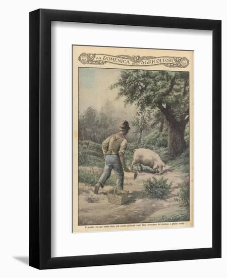 An Italian Farmer and His Truffle-Hunting Pig-null-Framed Art Print