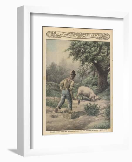 An Italian Farmer and His Truffle-Hunting Pig-null-Framed Art Print