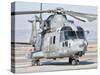 An Italian Navy EH101 Helicopter at Forward Operating Base Herat, Afghanistan-Stocktrek Images-Stretched Canvas