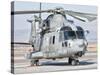 An Italian Navy EH101 Helicopter at Forward Operating Base Herat, Afghanistan-Stocktrek Images-Stretched Canvas