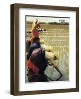 An Italian Rice Field, 1901-Angelo Morbelli-Framed Giclee Print