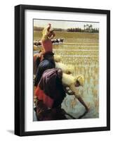 An Italian Rice Field, 1901-Angelo Morbelli-Framed Giclee Print