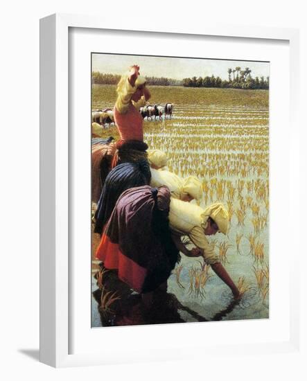 An Italian Rice Field, 1901-Angelo Morbelli-Framed Giclee Print