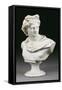 An Italian White Marble Bust of the Apollo Belvedere After the Antique, Second Half 19th Century-null-Framed Stretched Canvas