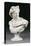 An Italian White Marble Bust of the Apollo Belvedere After the Antique, Second Half 19th Century-null-Stretched Canvas