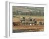 An M109 Self-Propelled Howitzer of the Israel Defense Forces-Stocktrek Images-Framed Photographic Print