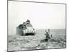 An M3 Grant Tank on the Move During the Battle of Kasserine Pass, Tunisia-null-Mounted Photographic Print