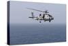 An Mh-60R Sea Hawk Helicopter Flies over the Gulf of Oman-null-Stretched Canvas