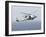 An Mh-60R Sea Hawk Helicopter Prepares to Land-null-Framed Photographic Print