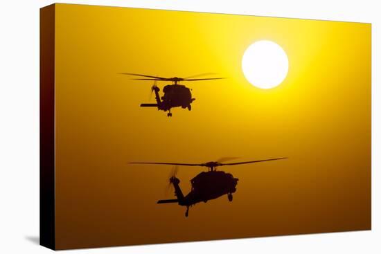 An Mh-60S Knighthawk and Mh-60R Sea Hawk at Sunset-null-Stretched Canvas