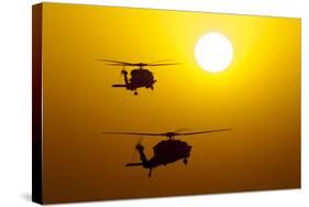 An Mh-60S Knighthawk and Mh-60R Sea Hawk at Sunset-null-Stretched Canvas