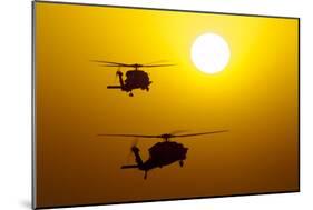 An Mh-60S Knighthawk and Mh-60R Sea Hawk at Sunset-null-Mounted Photographic Print