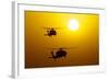 An Mh-60S Knighthawk and Mh-60R Sea Hawk at Sunset-null-Framed Photographic Print