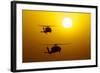 An Mh-60S Knighthawk and Mh-60R Sea Hawk at Sunset-null-Framed Photographic Print