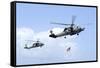 An Mh-60S Sea Hawk Helicopter Follows Behind an Mh-60R Sea Hawk-null-Framed Stretched Canvas