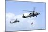 An Mh-60S Sea Hawk Helicopter Follows Behind an Mh-60R Sea Hawk-null-Mounted Photographic Print