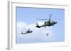 An Mh-60S Sea Hawk Helicopter Follows Behind an Mh-60R Sea Hawk-null-Framed Photographic Print