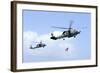 An Mh-60S Sea Hawk Helicopter Follows Behind an Mh-60R Sea Hawk-null-Framed Photographic Print