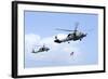 An Mh-60S Sea Hawk Helicopter Follows Behind an Mh-60R Sea Hawk-null-Framed Photographic Print