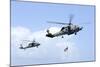 An Mh-60S Sea Hawk Helicopter Follows Behind an Mh-60R Sea Hawk-null-Mounted Photographic Print