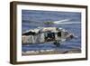 An Mh-60S Sea Hawk Prepares to Land on the Flight Deck of USS Nimitz-null-Framed Photographic Print