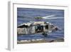 An Mh-60S Sea Hawk Prepares to Land on the Flight Deck of USS Nimitz-null-Framed Photographic Print