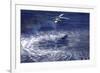 An Mh-60S Seahawk Lowers a Rescue Swimmer into the Water-null-Framed Photographic Print