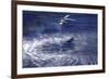 An Mh-60S Seahawk Lowers a Rescue Swimmer into the Water-null-Framed Photographic Print