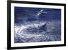 An Mh-60S Seahawk Lowers a Rescue Swimmer into the Water-null-Framed Photographic Print