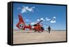 An Mh-65C Dolphin Helicopter of the U.S. Coast Guard-null-Framed Stretched Canvas