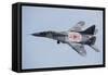 An Mig-29 Fulcrum of the Polish Air Force in Flight-null-Framed Stretched Canvas