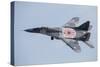 An Mig-29 Fulcrum of the Polish Air Force in Flight-null-Stretched Canvas