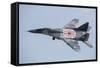 An Mig-29 Fulcrum of the Polish Air Force in Flight-null-Framed Stretched Canvas