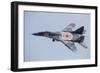 An Mig-29 Fulcrum of the Polish Air Force in Flight-null-Framed Photographic Print