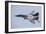 An Mig-29 Fulcrum of the Polish Air Force in Flight-null-Framed Photographic Print