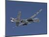 An MQ-9 Reaper Flies a Training Mission Over New Mexico-Stocktrek Images-Mounted Photographic Print