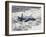 An MQ-9 Reaper Flies a Training Mission Over Southern New Mexico-Stocktrek Images-Framed Photographic Print