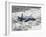 An MQ-9 Reaper Flies a Training Mission Over Southern New Mexico-Stocktrek Images-Framed Photographic Print