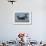 An MV-22 Osprey Prepares to Land on the Flight Deck of USS Anchorage-null-Framed Photographic Print displayed on a wall