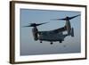 An MV-22 Osprey Prepares to Land on the Flight Deck of USS Anchorage-null-Framed Photographic Print