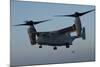 An MV-22 Osprey Prepares to Land on the Flight Deck of USS Anchorage-null-Mounted Photographic Print