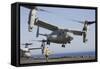 An MV-22 Osprey Takes Off from the Amphibious Assault Ship USS Kearsarge-null-Framed Stretched Canvas