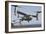 An MV-22 Osprey Takes Off from the Amphibious Assault Ship USS Kearsarge-null-Framed Photographic Print