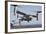 An MV-22 Osprey Takes Off from the Amphibious Assault Ship USS Kearsarge-null-Framed Photographic Print