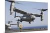 An MV-22 Osprey Takes Off from the Amphibious Assault Ship USS Kearsarge-null-Mounted Photographic Print