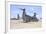 An MV-22 Osprey Taxiing at Marine Corps Air Station Miramar-null-Framed Photographic Print